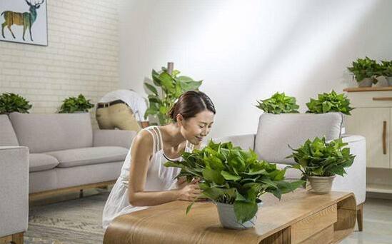 室內(nèi)甲醛中毒怎么辦？記住這三招